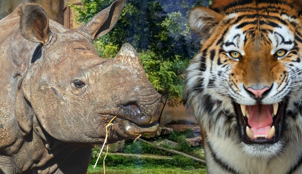 Terra Natura Animal Park Benidorm