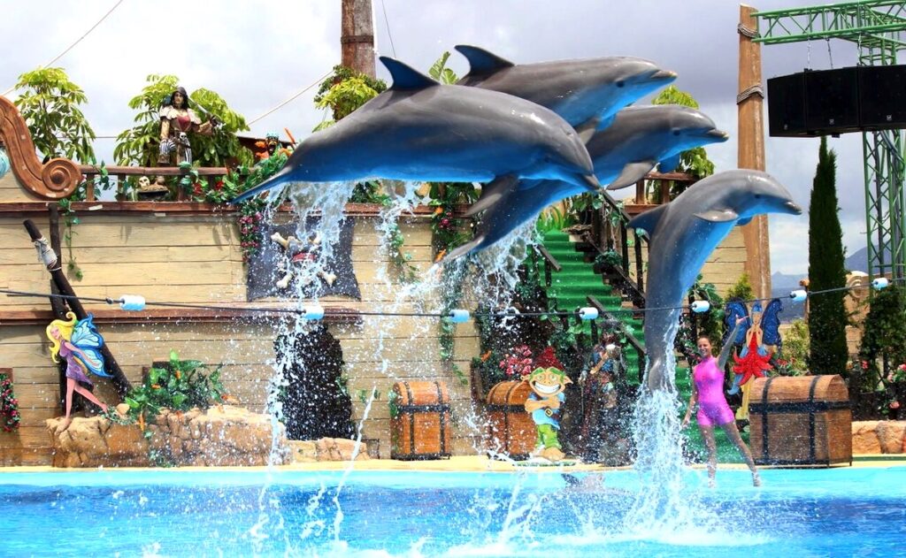 BOOK MUNDOMAR BENIDORM